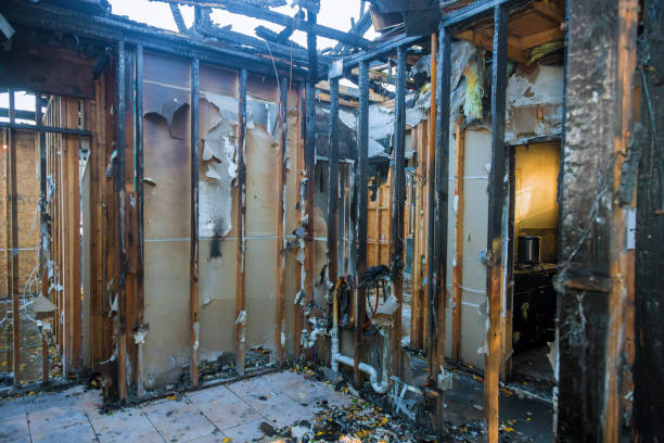 Professional Fire Damage Assessment technician working in Lutz, FL