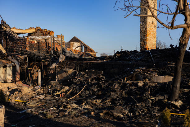 Reliable Fire Damage Assessment contractor in Lutz, FL by Fire Damage Doption