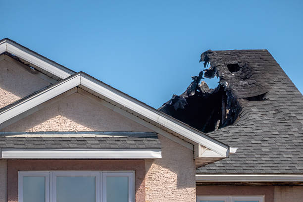 Top rated local Fire Damage Assessment specialists in Lutz, FL